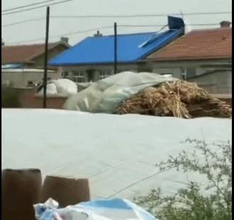 「二三里早八点」吉林市小区为居家隔离人员设专用垃圾桶；家长给孩子买蓝魔虾消解寂寞