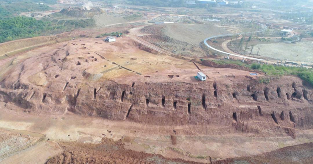 轻松早茶完整版视频,适合5.1去的广州早茶