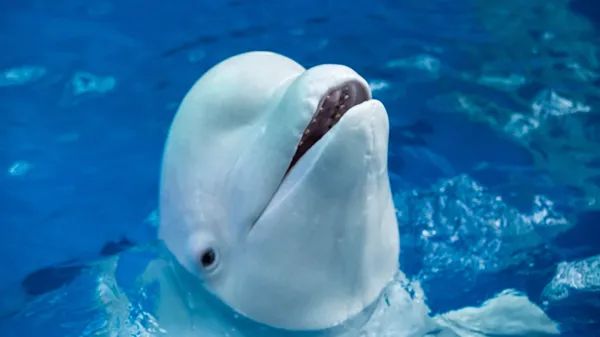 吹响“Super家长团”集结号！【内含活动抽奖福利】