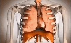 戴束腰内脏下垂,盆底肌漏尿穿收腹束腰能修复吗