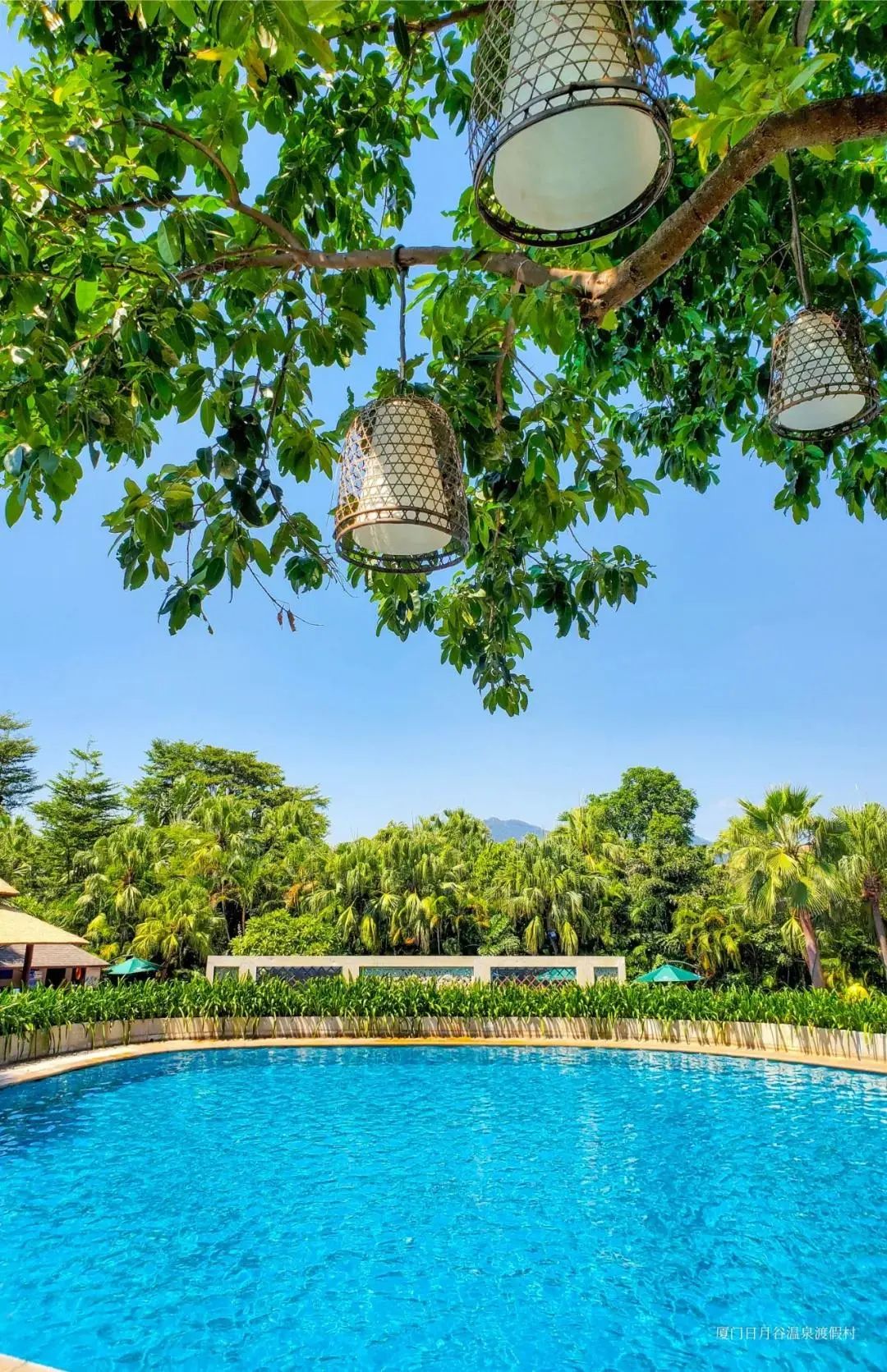 从山林睡到海边，厦门这些诗意栖息的好去处，现在拔草低至5折……