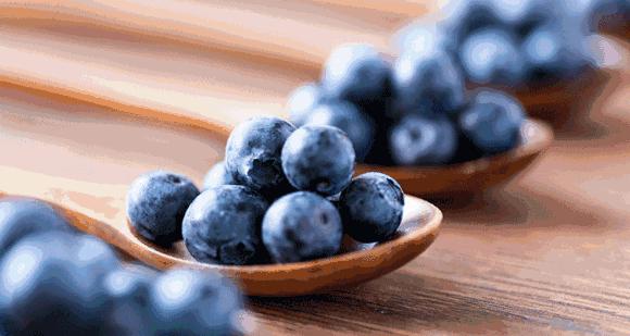 象山大徐镇的蓝莓,象山摘蓝莓