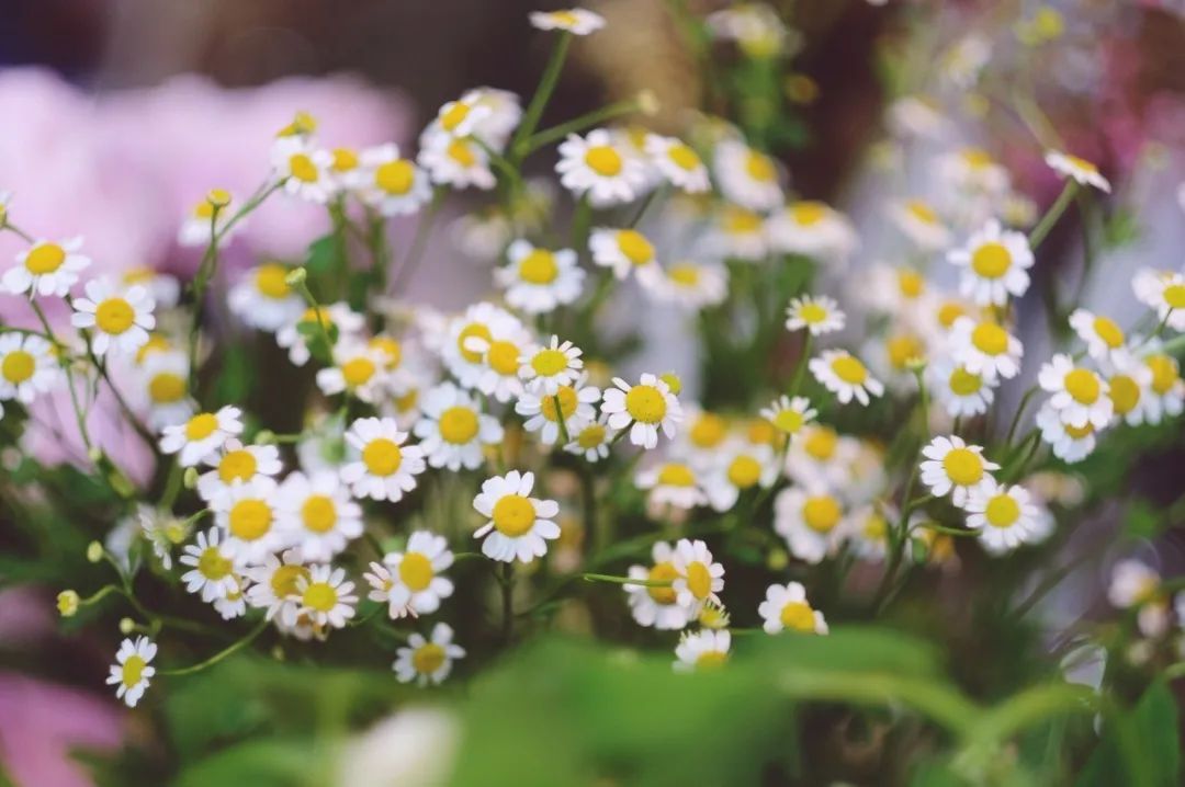 新玩法！5.20可以点亮法华塔表白啦！点亮攻略→