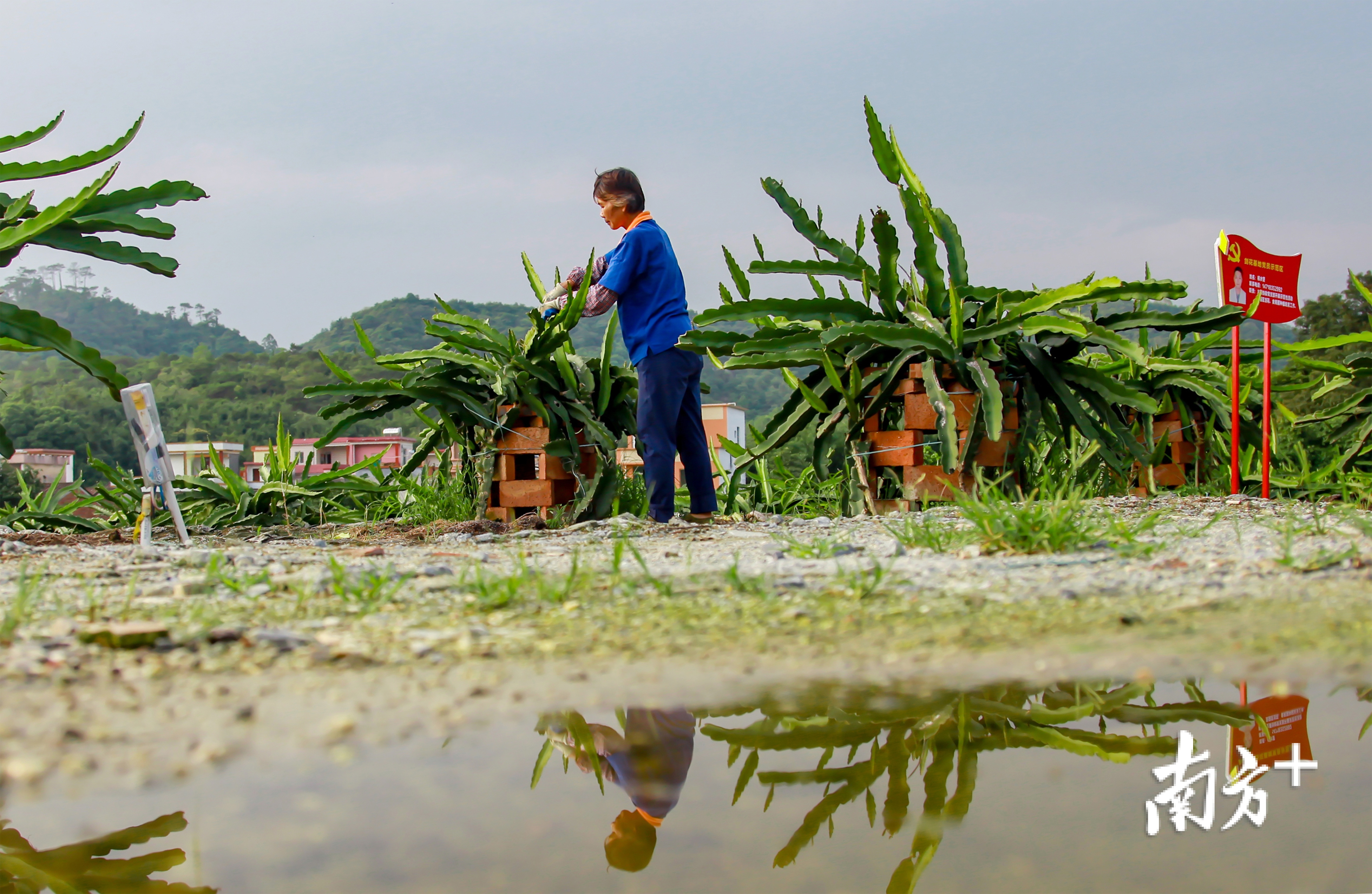 云浮市云城区腰古镇水东古村落,云浮市云城区腰古镇腰古村简介