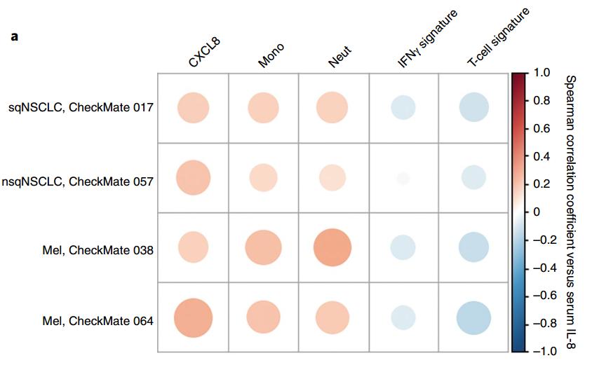 白介素对肿瘤细胞的影响,白介素8是促炎因子吗