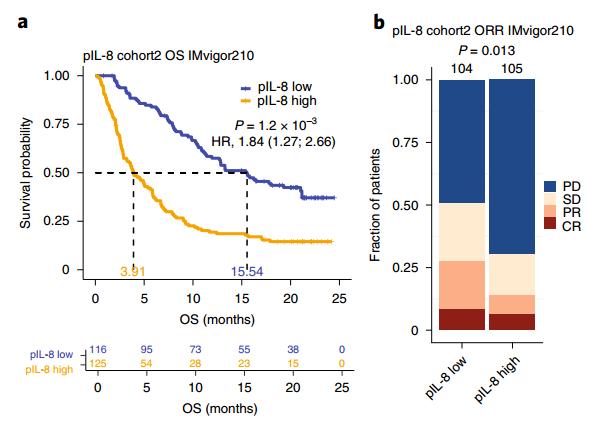 白介素对肿瘤细胞的影响,白介素8是促炎因子吗