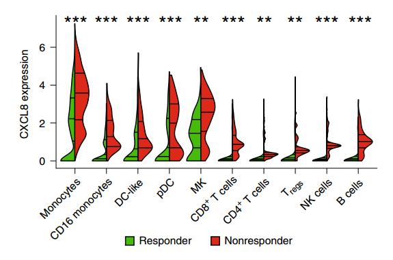 白介素对肿瘤细胞的影响,白介素8是促炎因子吗