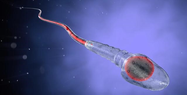 没有射精，却意外怀孕，这到底是为什么？