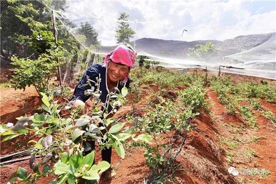 昆明地铁通车预计时间,昆明地铁最新全图