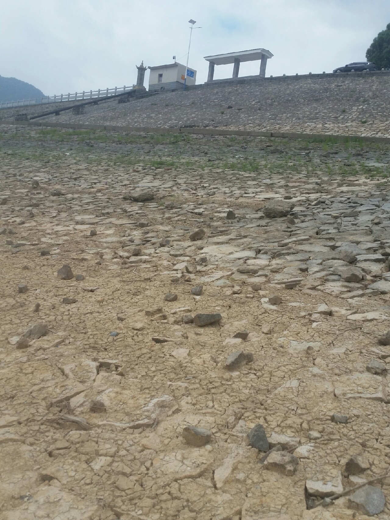 喜欢你！515狂拉不断！探钓永春红五一水库