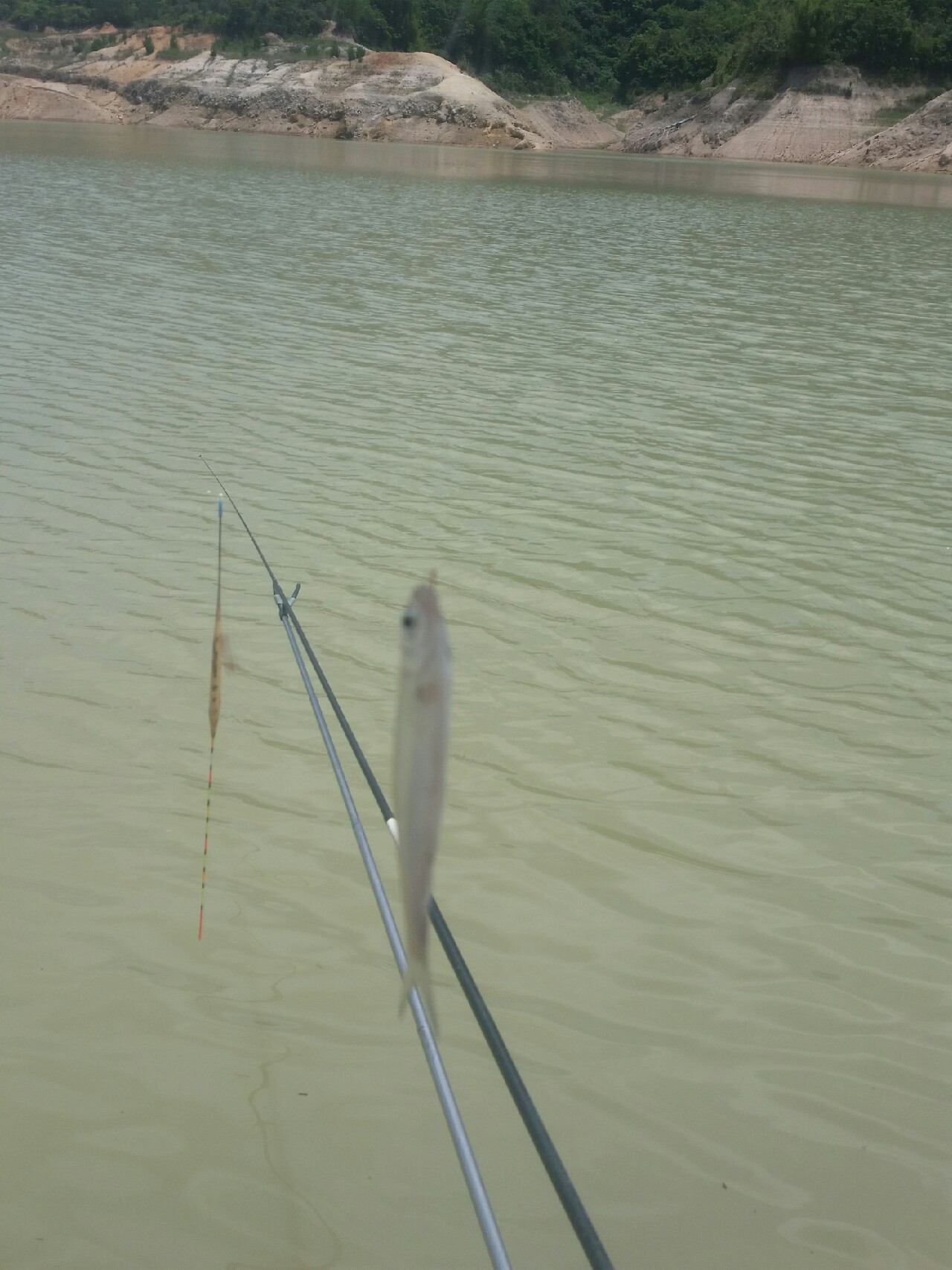 喜欢你！515狂拉不断！探钓永春红五一水库