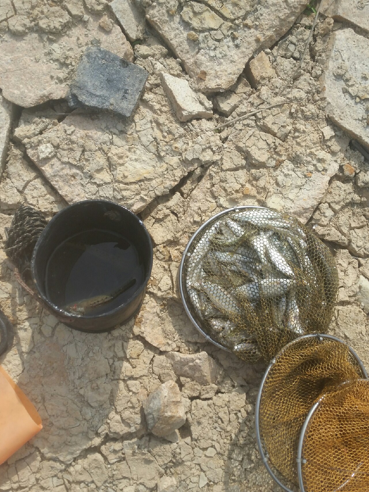 喜欢你！515狂拉不断！探钓永春红五一水库