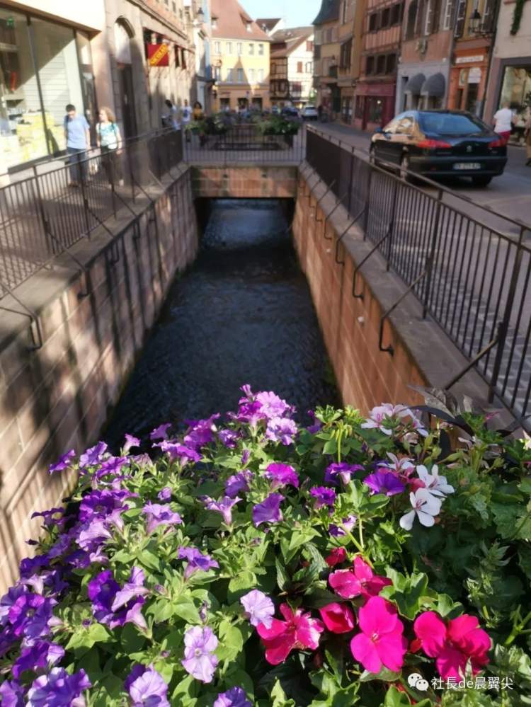 最好看尾巴的航司也来了!法国这些“国内线”了解下|航空工作室