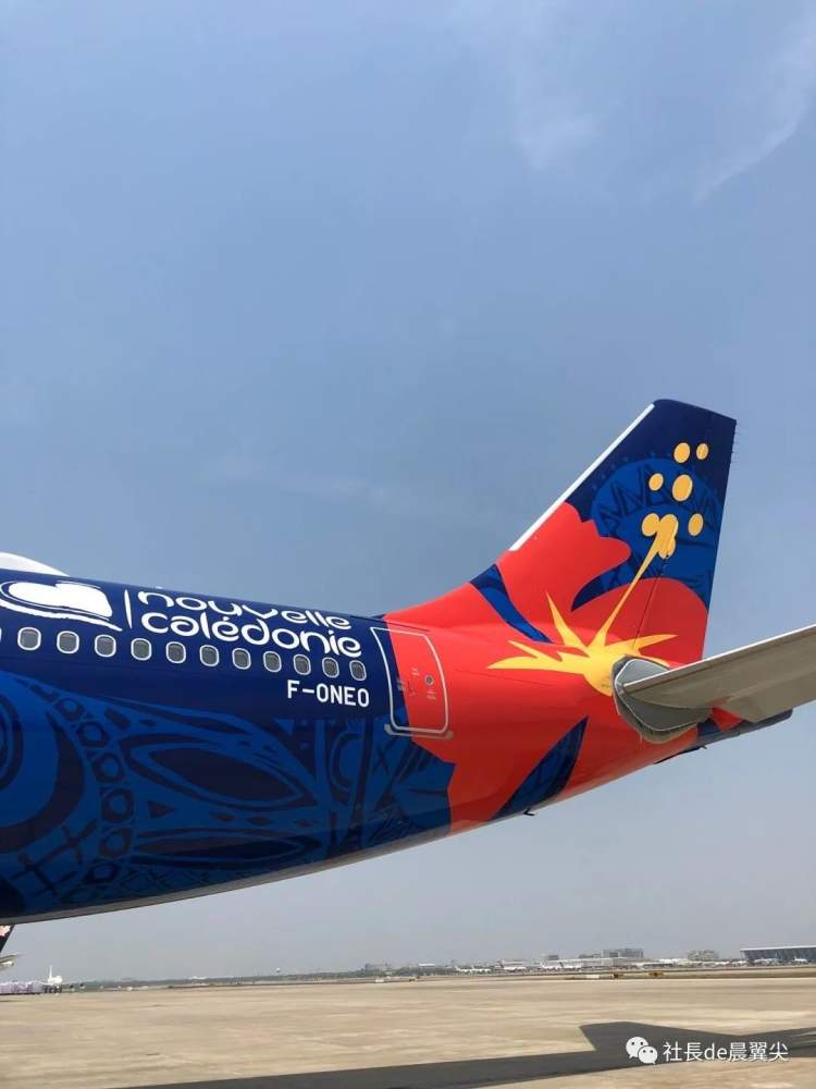 最好看尾巴的航司也来了！法国这些“国内线”了解下|航空工作室