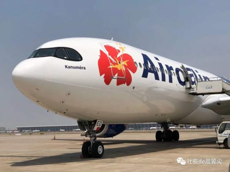 最好看尾巴的航司也来了!法国这些“国内线”了解下|航空工作室