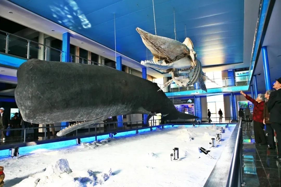 爱她不止一点甜全文免费在线阅读,爱她不止一点甜