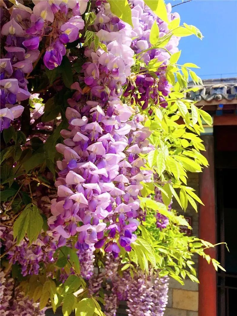 爱她不止一点甜全文免费在线阅读,爱她不止一点甜