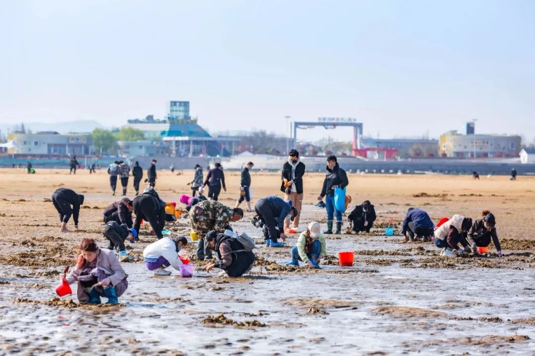 东港适合孩子玩儿的地方,秋天东港好玩的地方推荐小孩玩