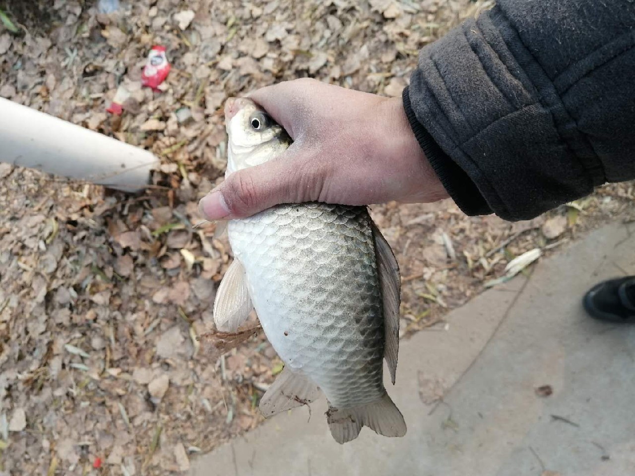普通自制串钩最简单方法,如何自制马口串钩
