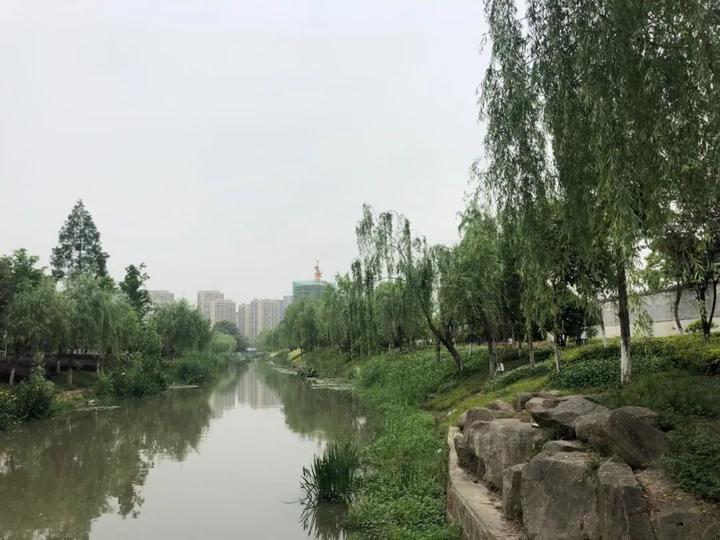 所见即所得，很快就能住！探营杭州四大现房，值得买吗？