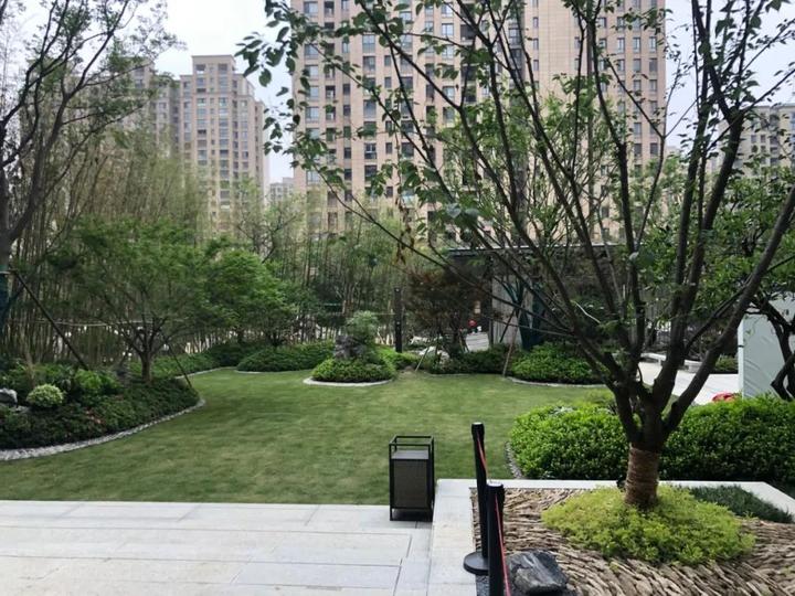 所见即所得，很快就能住！探营杭州四大现房，值得买吗？