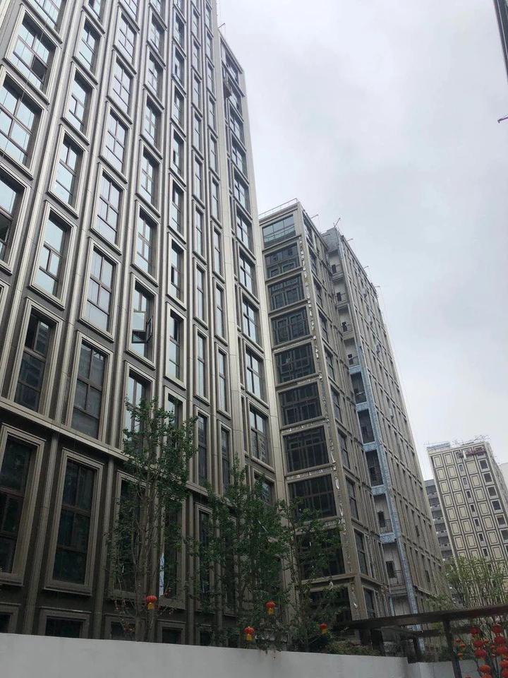 所见即所得，很快就能住！探营杭州四大现房，值得买吗？