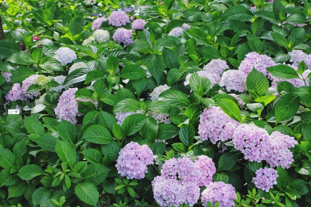 旅拍贵州！邂逅每一帧浪漫风景