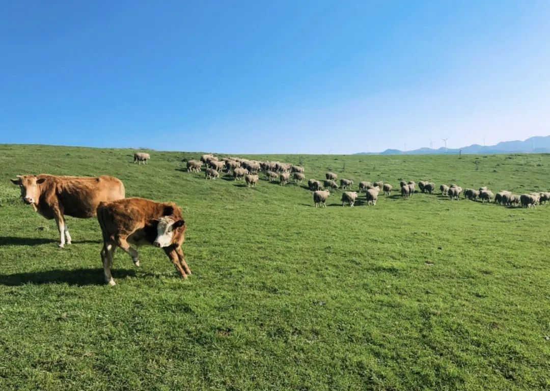 旅拍贵州！邂逅每一帧浪漫风景