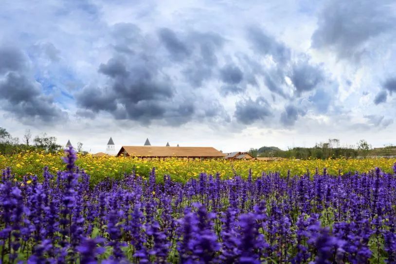旅拍贵州!邂逅每一帧浪漫风景