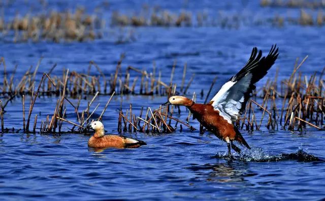旅拍贵州!邂逅每一帧浪漫风景