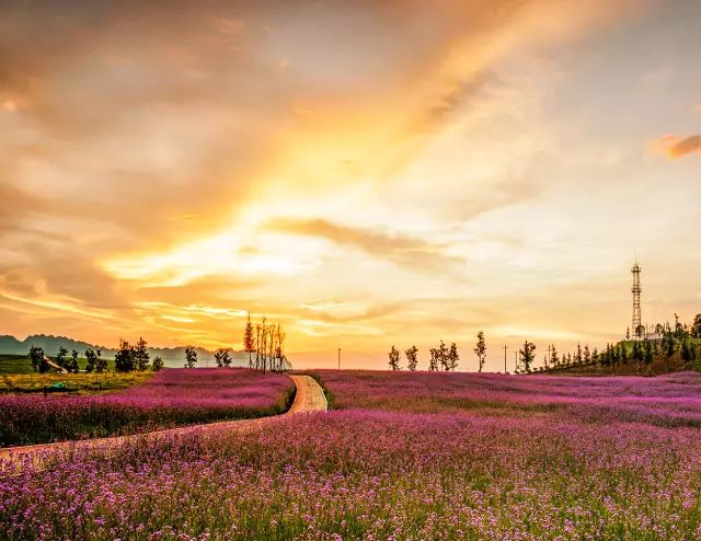 旅拍贵州!邂逅每一帧浪漫风景