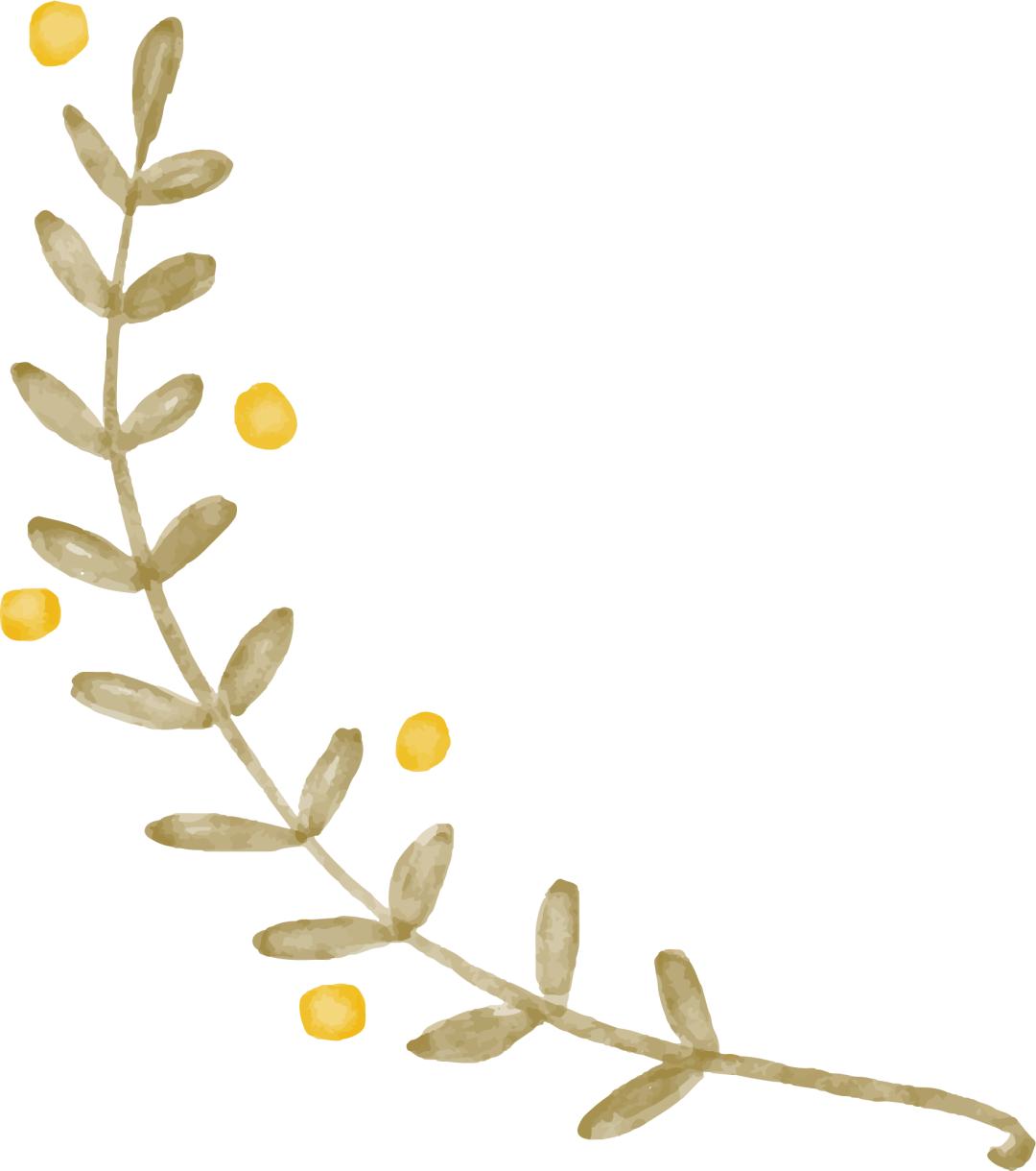 上古荐书丨(国学典藏)诗品