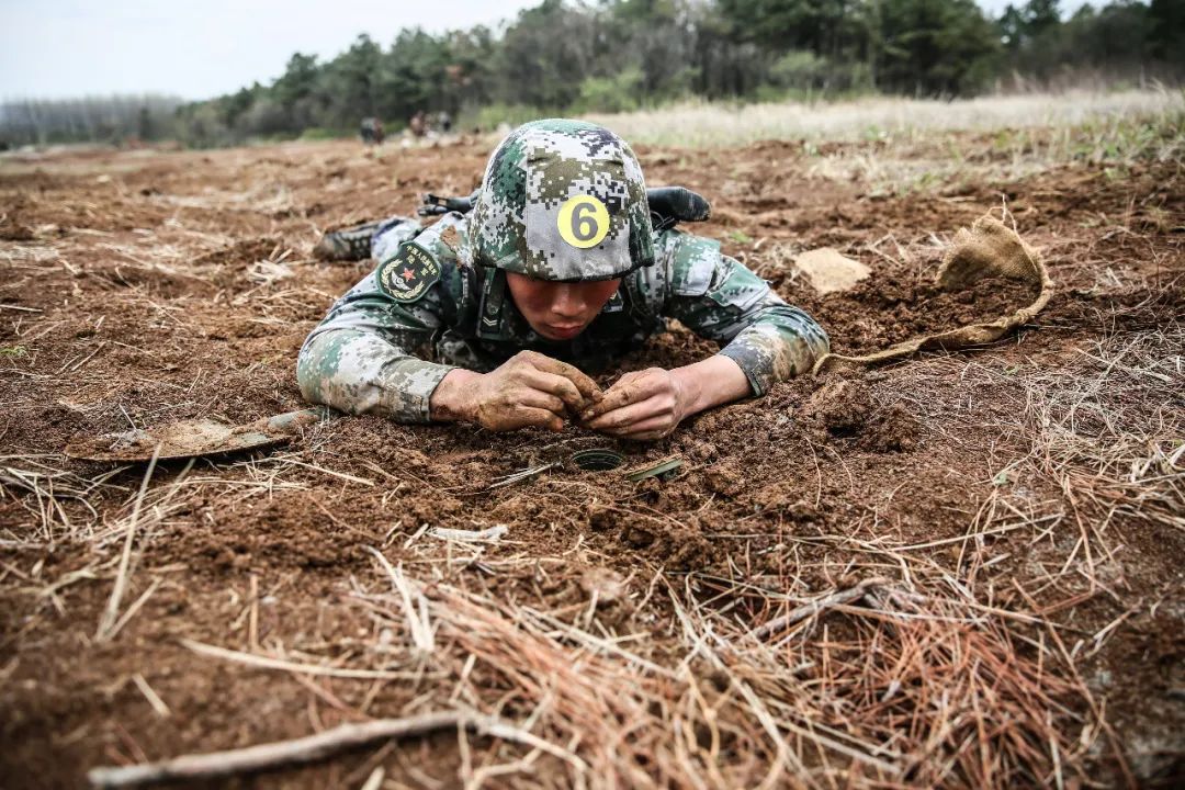 东部战区陆军下辖部队,北部战区陆军四个作战旅团