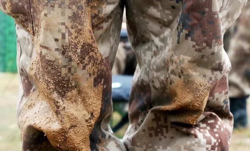 东部战区陆军下辖部队,北部战区陆军四个作战旅团