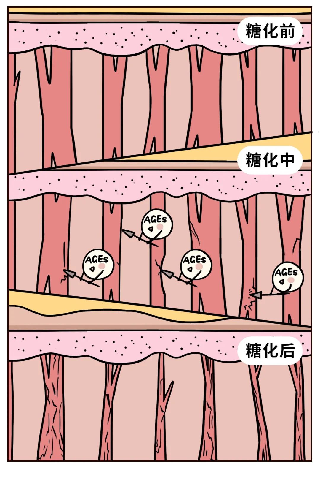 什么神仙保健康,什么神仙可以保身体健康