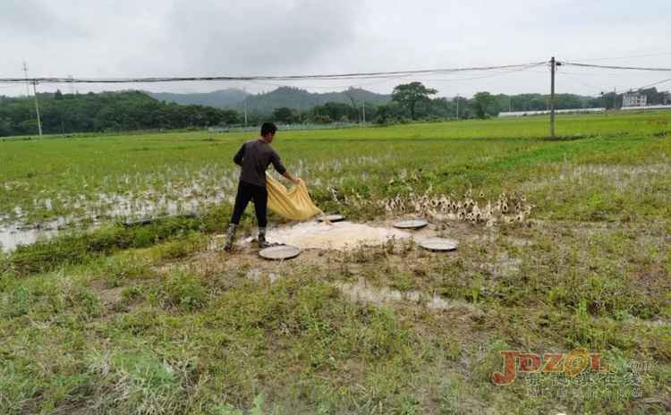 徐光华：勤劳肯干钻技术养殖脱贫致富路