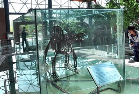 湖南省博物馆游玩攻略,湖南省博物馆参观攻略讲解