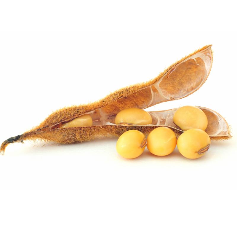 什么海鲜嘌呤低痛风可以吃,痛风海鲜嘌呤指数