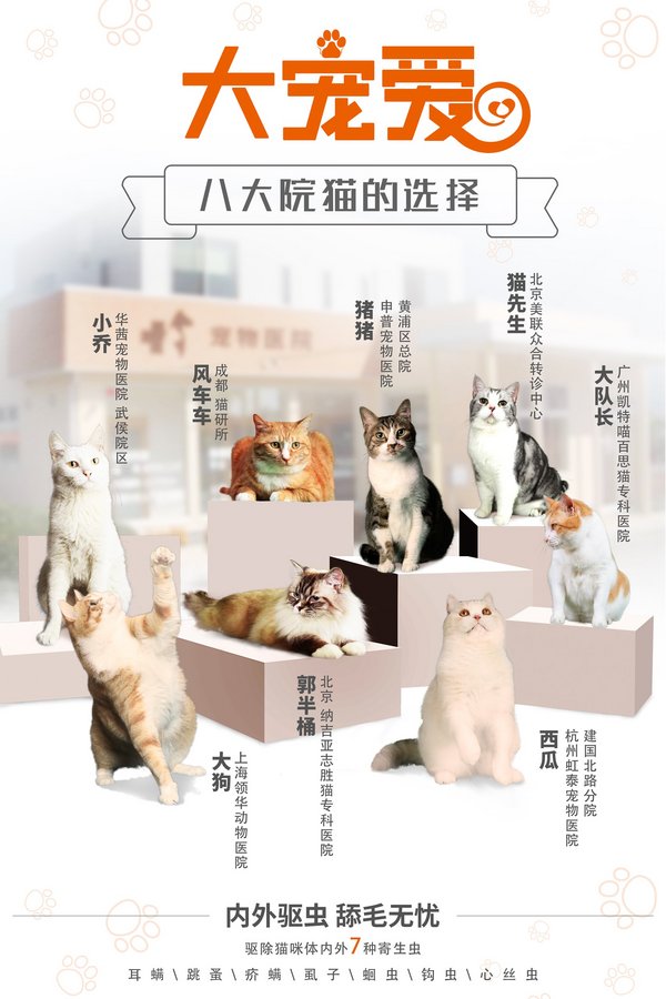 硕腾宠物官方网站,硕腾大宠爱