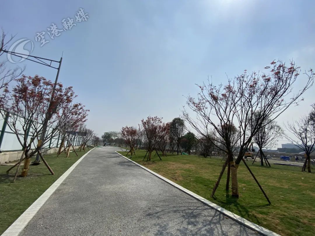 空港体育公园最新消息,空港运动公园开放时间