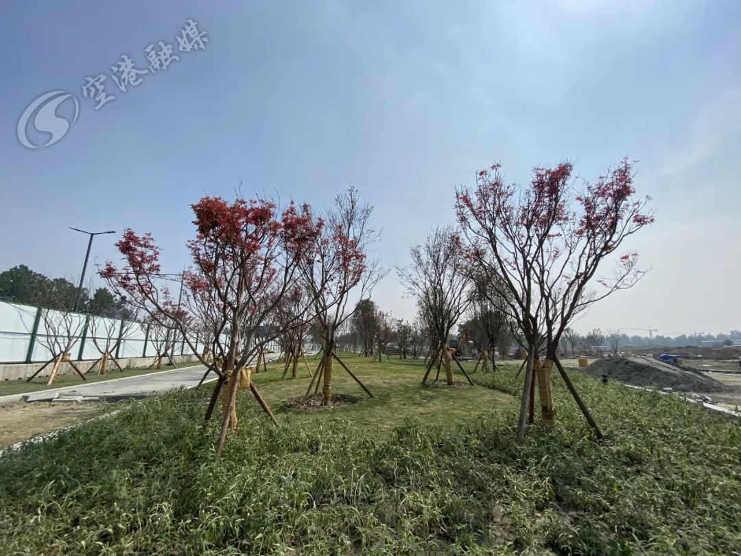 空港体育公园最新消息,空港运动公园开放时间