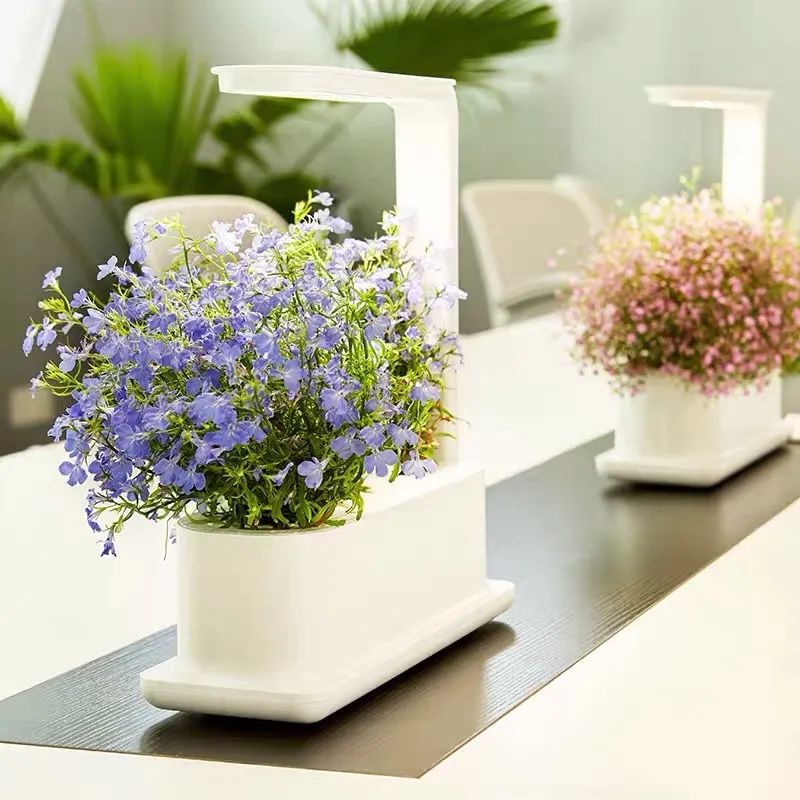 “巾帼带货 爱心助农”走进滨江，云上助力黔东南州！让买买买更有温度！