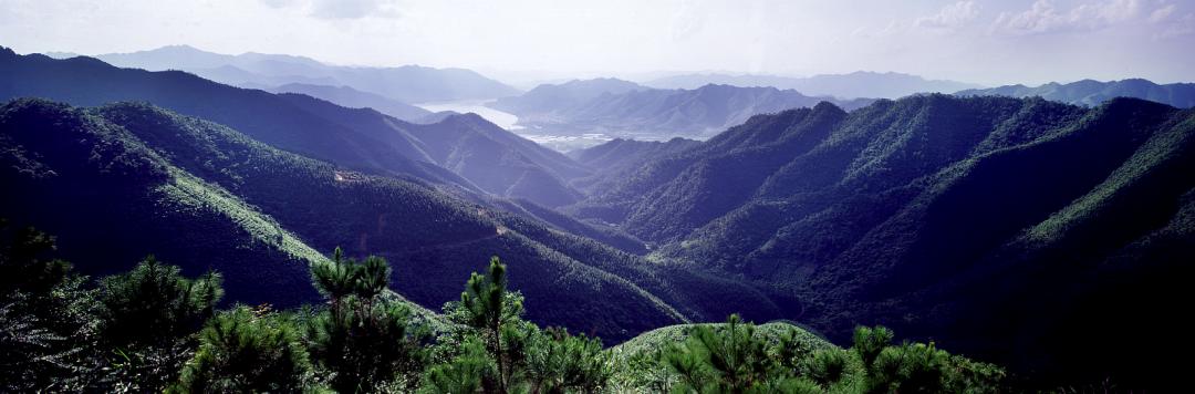 肇庆鼎湖山周边便宜的酒店,肇庆鼎湖山景区住宿
