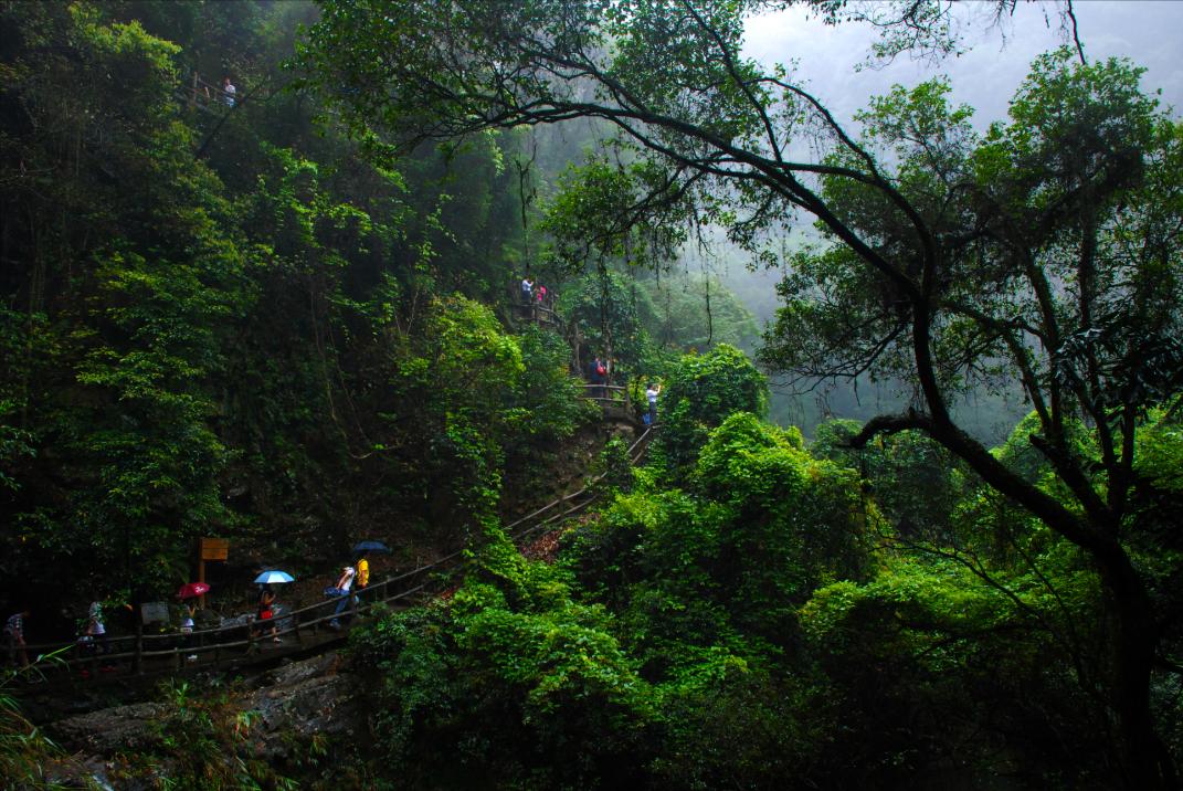 肇庆鼎湖山周边便宜的酒店,肇庆鼎湖山景区住宿