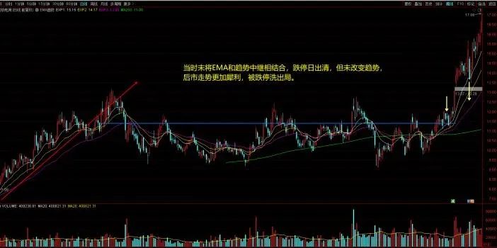 股票收益曲线图生成器,每日收益曲线图