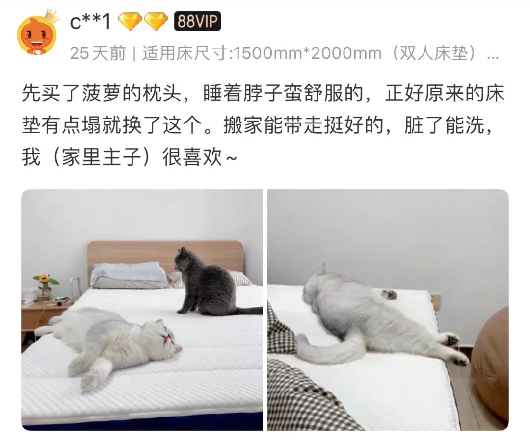 日本人最喜欢吃的一乐拉面 (日本超级大的拉面你能吃得完吗)