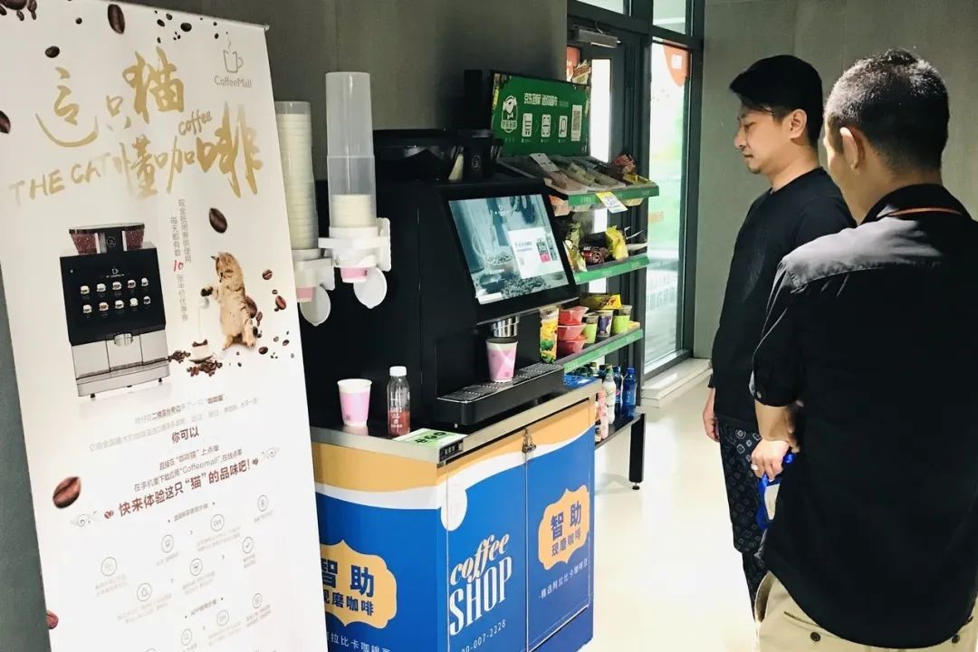 南宁一只咖啡猫,上海有布偶猫的咖啡馆