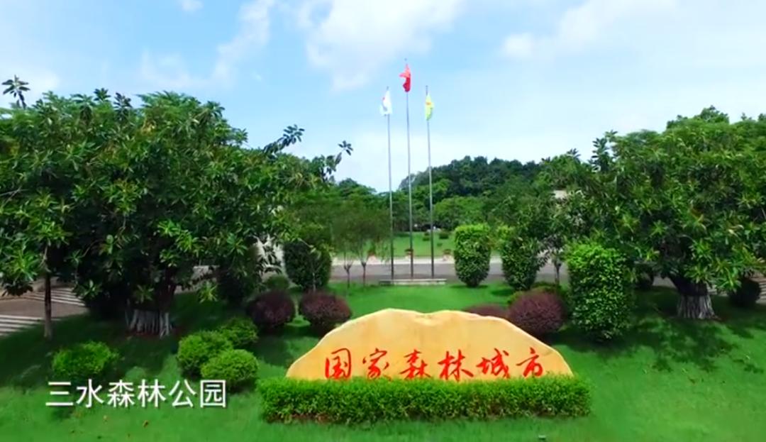 弘扬学习雷锋精神助力疫情防控,弘扬正气抗击疫情