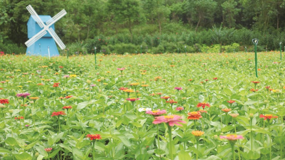 弘扬学习雷锋精神助力疫情防控,弘扬正气抗击疫情