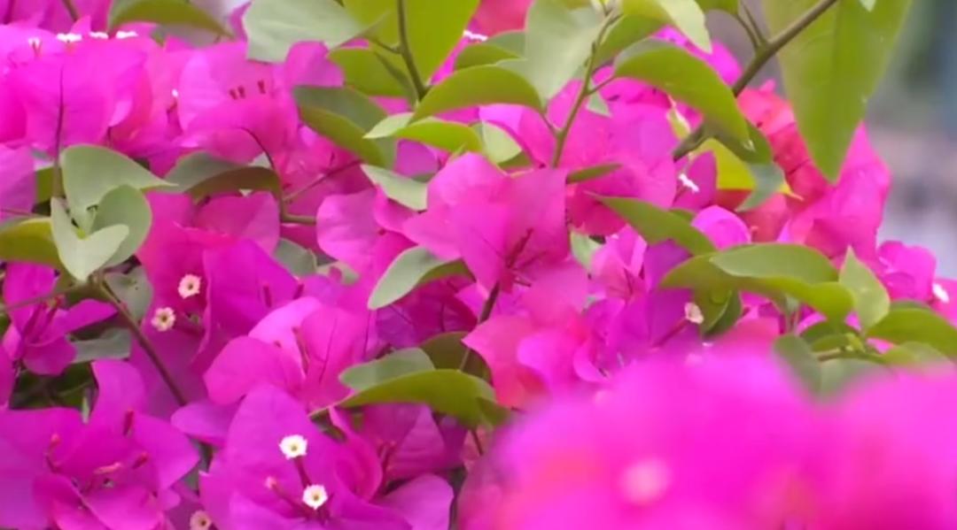 弘扬学习雷锋精神助力疫情防控,弘扬正气抗击疫情